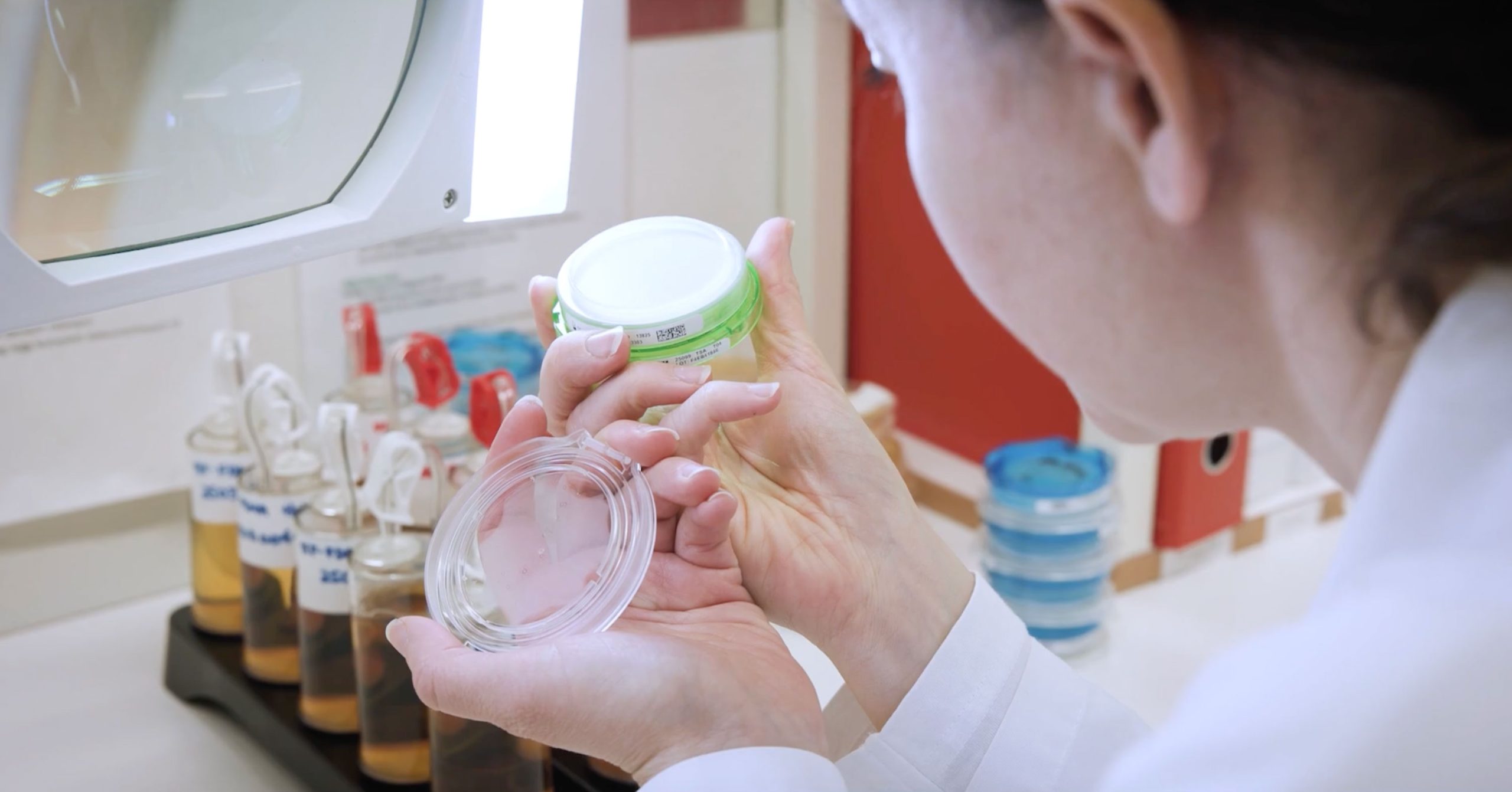A woman assessing a petri dish