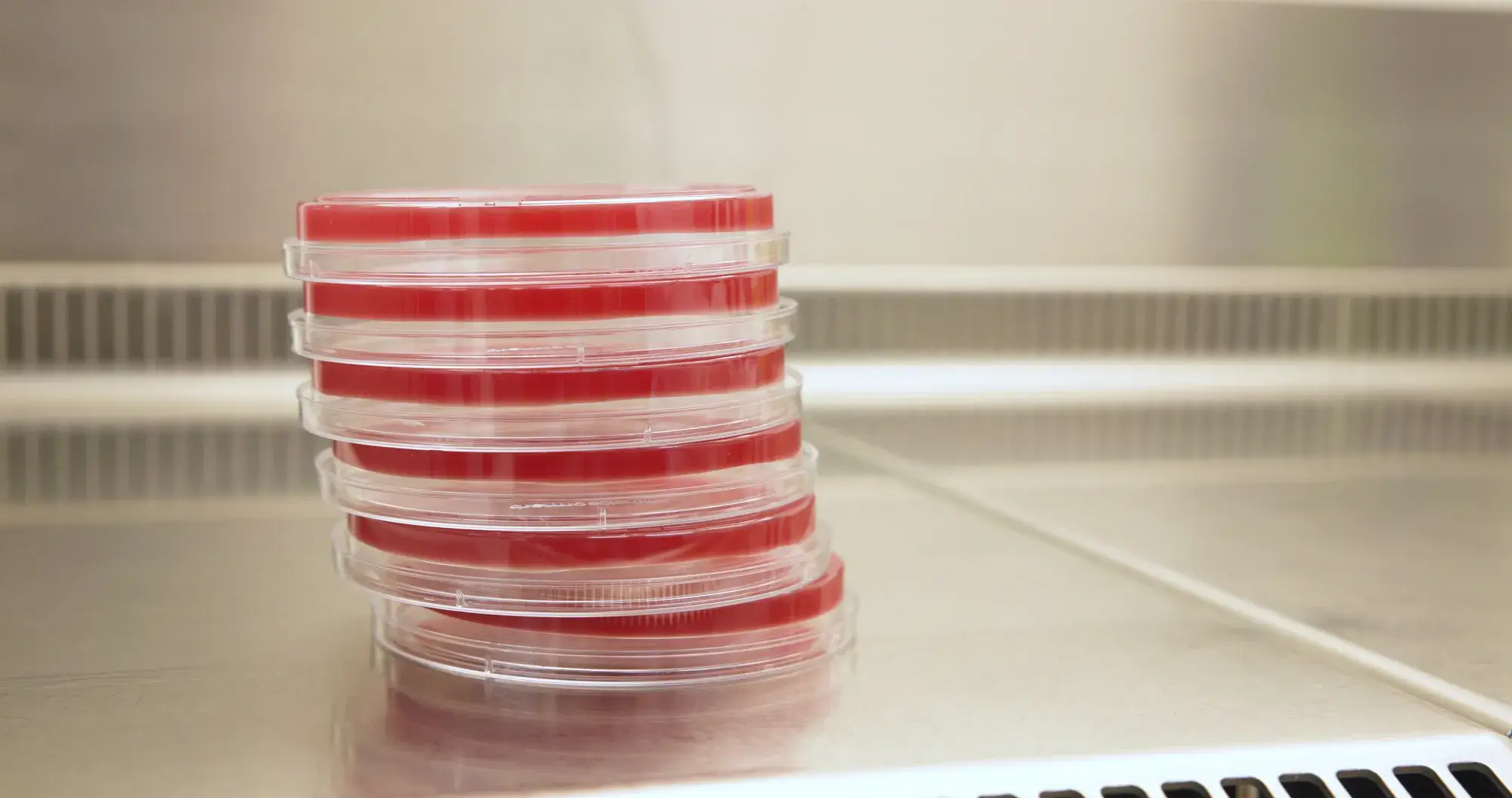 Stacks of petri dishes