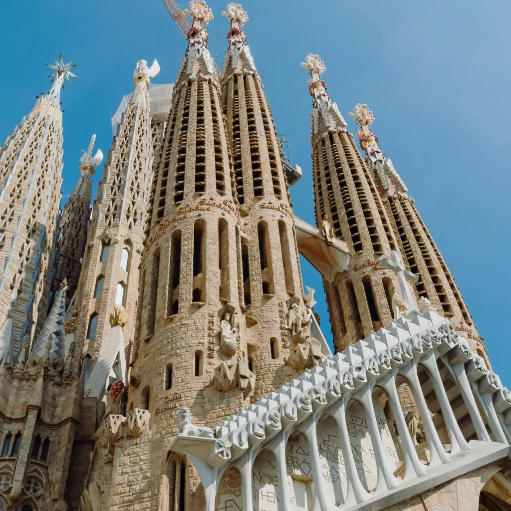 barcelona curida